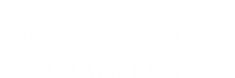 arena cluster